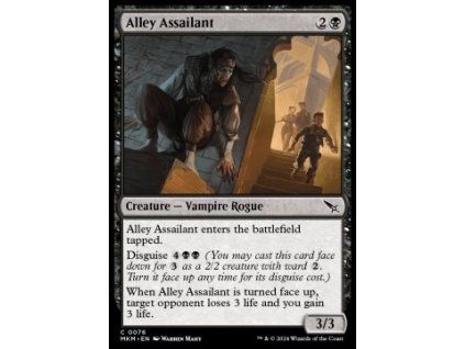 Alley Assailant
