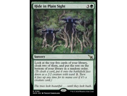 Hide in Plain Sight