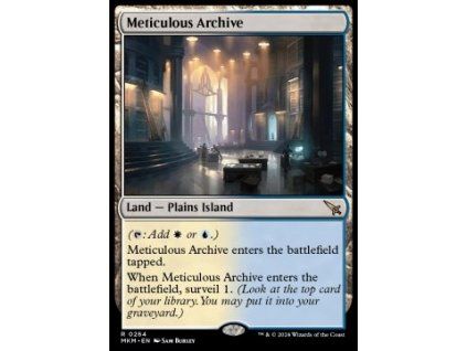 Meticulous Archive