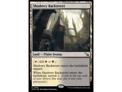 Shadowy Backstreet