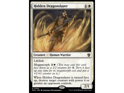 Hidden Dragonslayer