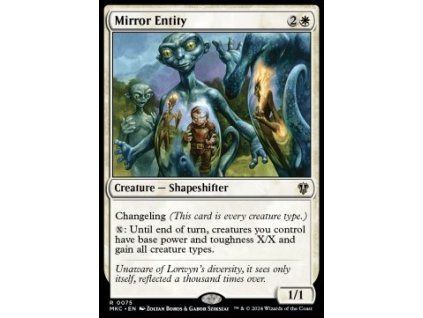 Mirror Entity
