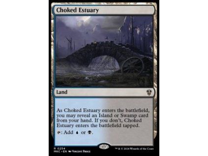 Choked Estuary