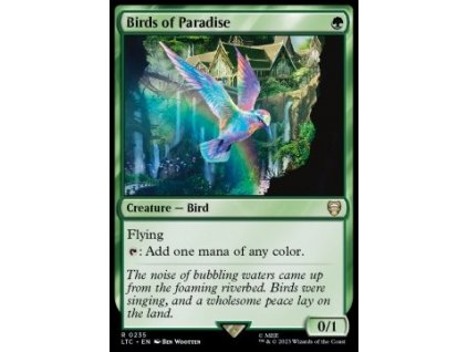 Birds of Paradise