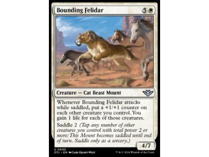 Bounding Felidar