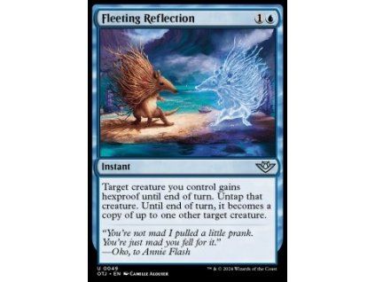 Fleeting Reflection
