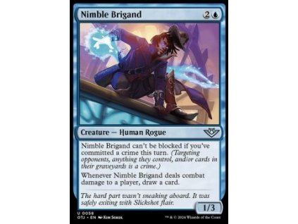 Nimble Brigand