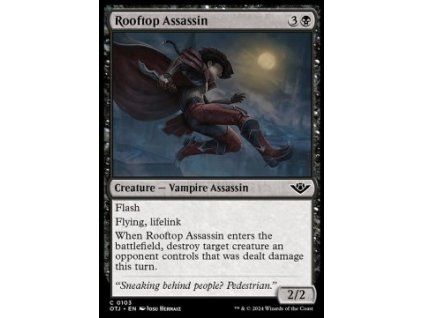 Rooftop Assassin