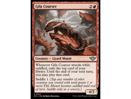 Gila Courser