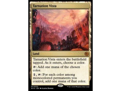 Tarnation Vista