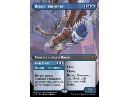 Brazen Borrower // Petty Theft