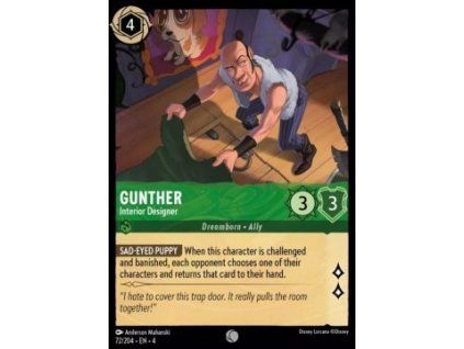 Gunther - Interior Designer