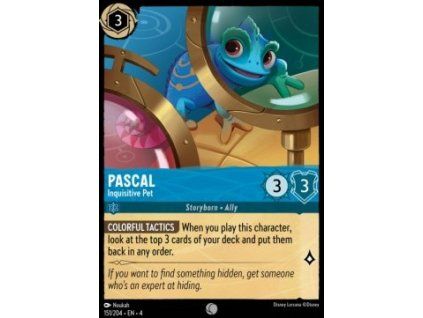 Pascal - Inquisitive Pet