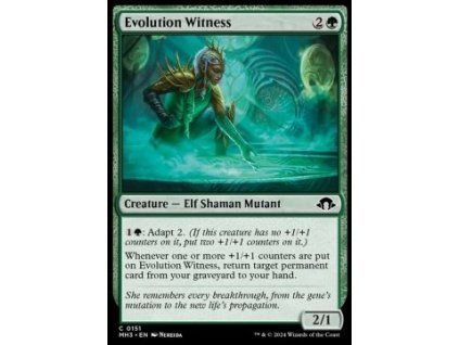 Evolution Witness