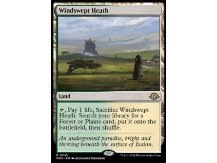 Windswept Heath