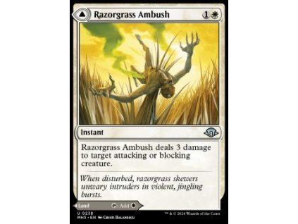 Razorgrass Ambush // Razorgrass Field