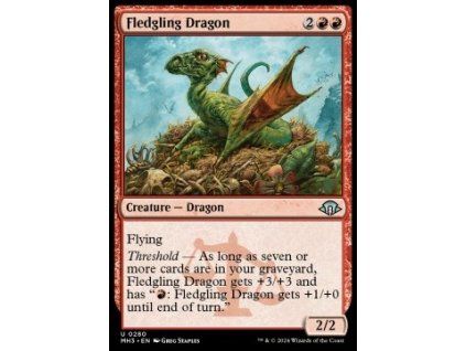 Fledgling Dragon