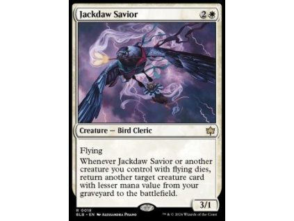 Jackdaw Savior
