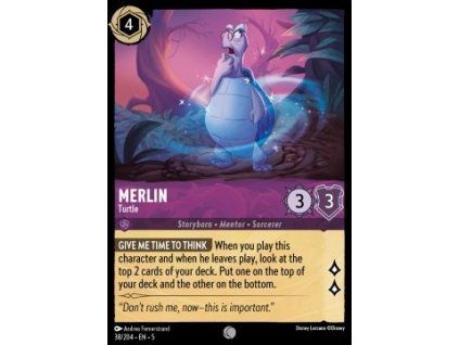 Merlin - Turtle