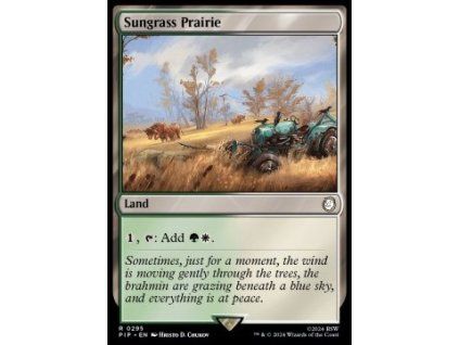 Sungrass Prairie