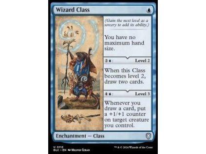 Wizard Class