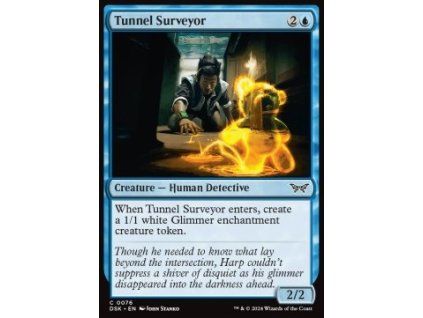 Tunnel Surveyor