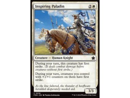 Inspiring Paladin
