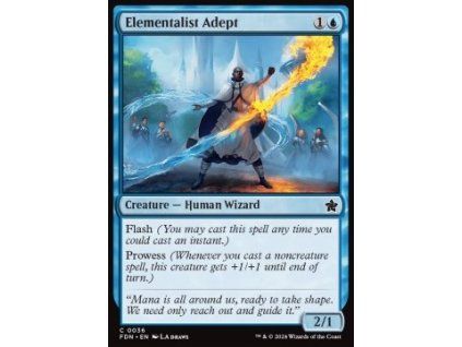 Elementalist Adept