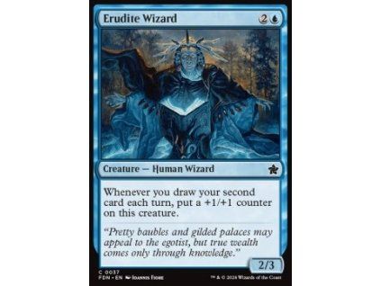Erudite Wizard