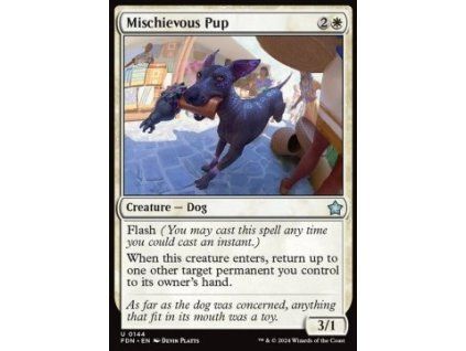 Mischievous Pup
