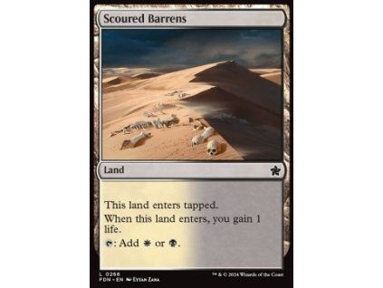 Scoured Barrens