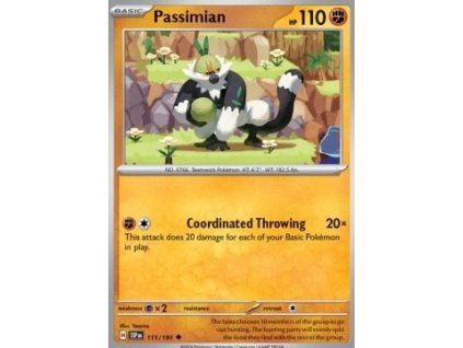 Passimian (SSP 111)