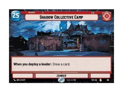 Shadow Collective Camp
