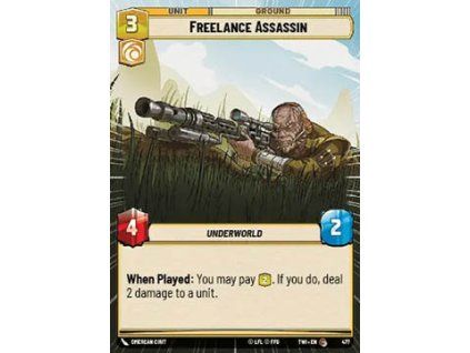 Freelance Assassin