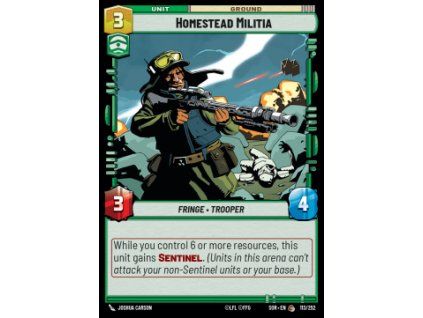 Homestead Militia