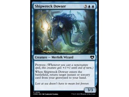 Shipwreck Dowser