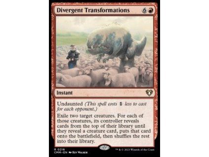 Divergent Transformations