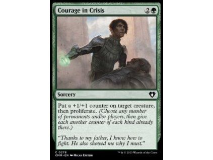 Courage in Crisis