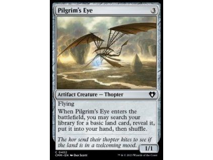 Pilgrim's Eye