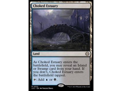 Choked Estuary