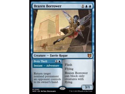 Brazen Borrower // Petty Theft