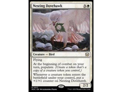 Nesting Dovehawk