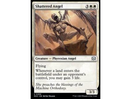 Shattered Angel