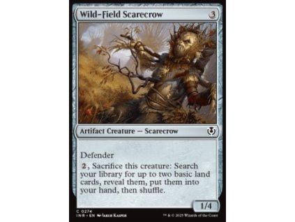 Wild-Field Scarecrow