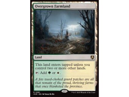 Overgrown Farmland