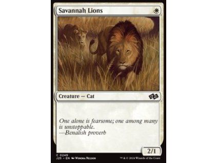 Savannah Lions