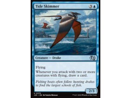 Tide Skimmer