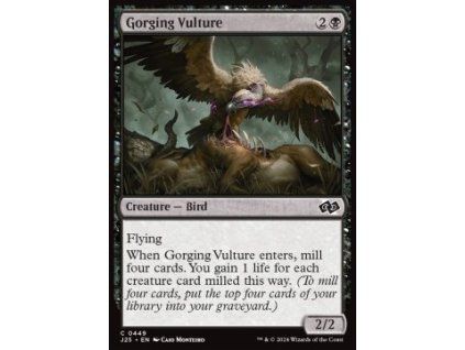 Gorging Vulture
