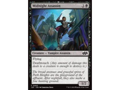 Midnight Assassin