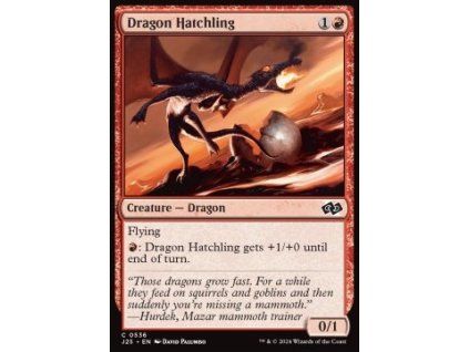 Dragon Hatchling